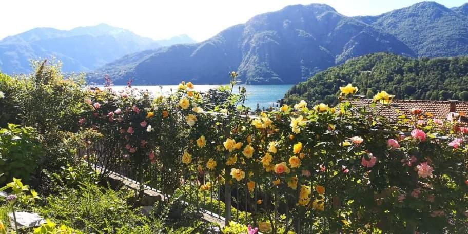 Magic Garden With Jacuzzi-Pool And Luxury Lake Como View เลนโน ภายนอก รูปภาพ