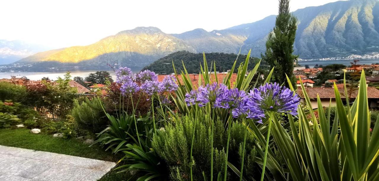 Magic Garden With Jacuzzi-Pool And Luxury Lake Como View เลนโน ภายนอก รูปภาพ